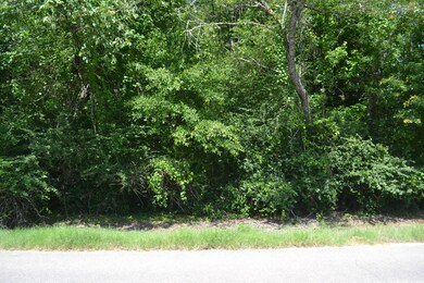 0 Pecan Rd unit 25399227, Keithville, LA 71047 - photo 3