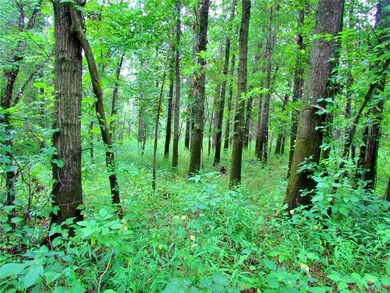 0 24 Hwy Hwy unit HMS2565633, Keytesville, MO 65261 - photo 3