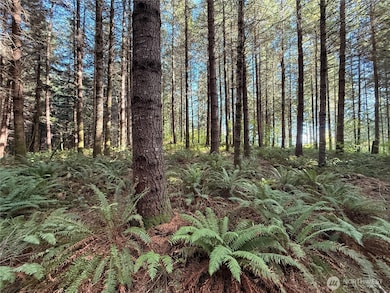 132 xx Algyer Rd SE, Rainier, WA 98576 - photo 4