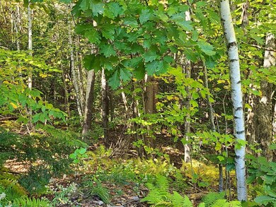 00 Long Ridge Rd unit Lot 2 AKA Lot 22, Sanbornville, NH 03872 - photo 3