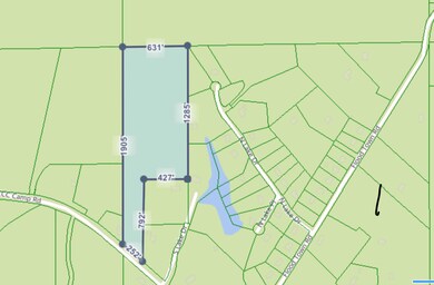 Wooded 16.9 Acres