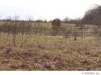 Land/Lot