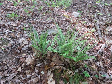 Lot 11 Ledbetter Ln, Walhalla, SC 29691 - photo 5