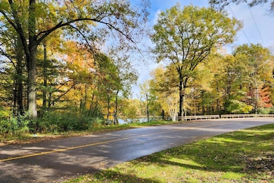 11875 Timberlane Dr unit 119, Canadian Lakes, MI 49346 - photo 5