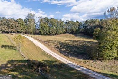606 Whitton Rd, Roopville, GA 30170 - photo 6