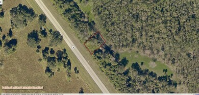 19216 NW 300th St, Okeechobee, FL 34972 - photo 5