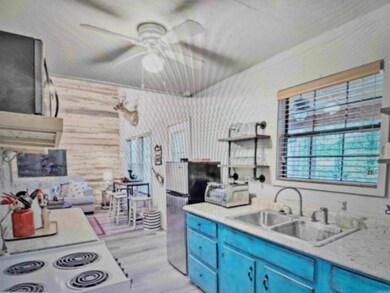 19 E Elm St, Greers Ferry, AR 72067 - photo 4