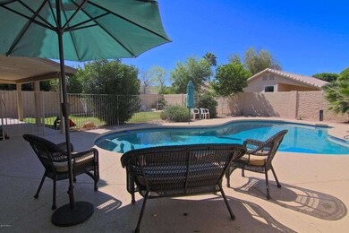 Relax By the Pool