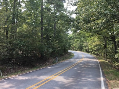 0 Garrison Rd W unit 22020890, Little Rock, AR 72223 - photo 7