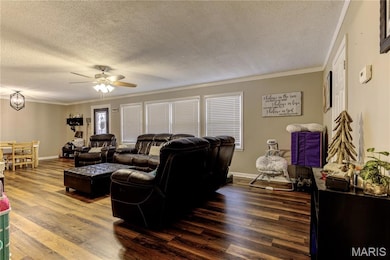 509 Nelson St, East Prairie, MO 63845 - photo 7