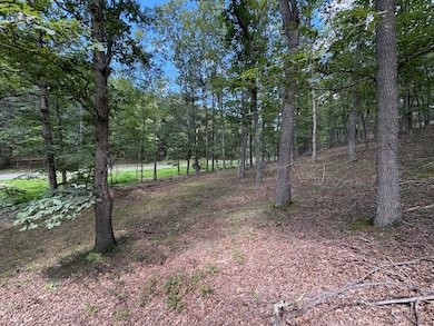 6292 Trough Rd, Moorefield, WV 26836 - photo 4