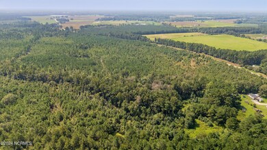 3-DJI_20240816114145_0009_D-HDR