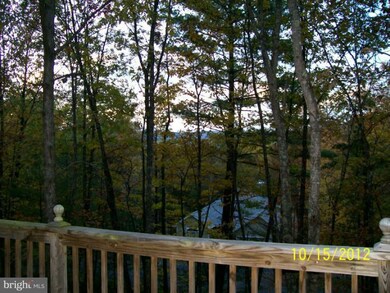 61 Miller Rd, Basye, VA 22810 - photo 3