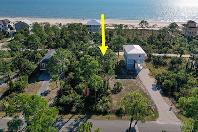 118 Cottage Ln, Port St. Joe, FL 32456 - photo 4