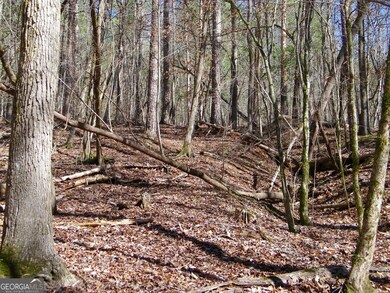 Back of lot - hardwoods