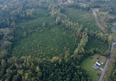 9230 Blizzard Rd, Meridian, MS 39305 - photo 2