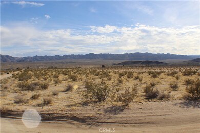 4499 Pearl Springs Ave, Twentynine Palms, CA 92277 - photo 6