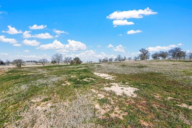 305 Pidgeon Ln, Weatherford, TX 76087 - photo 3