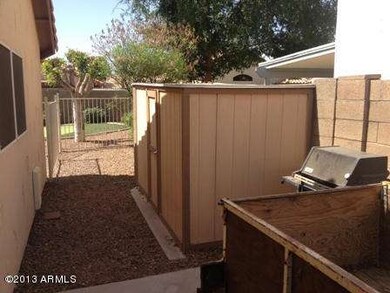 Hackamore 264