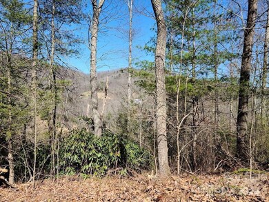 000 Elise Way unit Lot 7, Waynesville, NC 28785 - photo 3