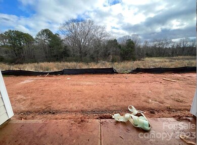 135 Pampas Place unit BF5 242, Statesville, NC 28625 - photo 3