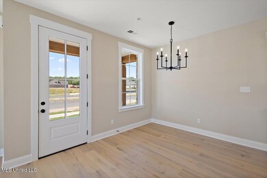 709 Bolivar Dr, Hernando, MS 38651 - photo 7