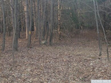 0 Slater Rd unit 108329, Maplecrest, NY 12454 - photo 4