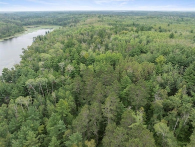 TBD 290th St, Two Inlets Township, MN 56470 - photo 7