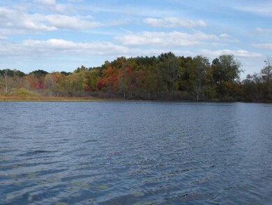 1995 Sage Rd, Buchanan, MI 49107 - photo 6