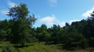 20150826_123019_resized