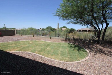 backyard1