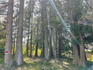 unlisted-address, Blaine, WA 98230 - photo 7