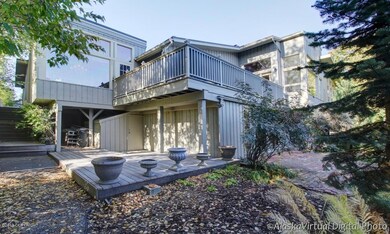 Back Decks & Patio