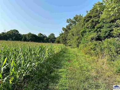 0 S Gorton Rd, Clinton Township, IN 47842 - photo 2