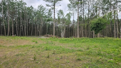 ON County Highway B unit 2 Acres, Summit Lake, WI 54485 - photo 5