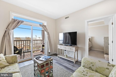 103 N Irving Ave unit 303, Colonial Beach, VA 22443 - photo 7