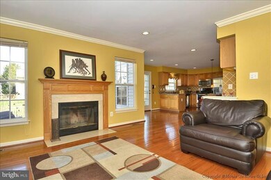 43484 Orson St, Chantilly, VA 20152 - photo 3