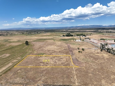 115 S Oro Place, Norwood, CO 81423 - photo 3