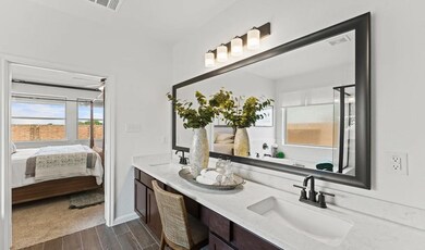 Owner's Luxury Bath