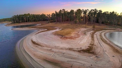 770 Landsend Dr, Brookeland, TX 75931 - photo 6