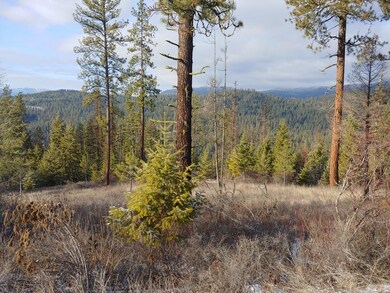 Lot 5