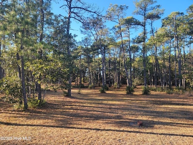 6727 Dunlowe Notch SW, Ocean Isle Beach, NC 28469 - photo 2