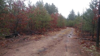 PAR 12 8th St, Baldwin, MI 49304 - photo 3