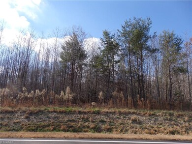 0 Lewis Thomas Rd, Grant, NC 27205 - photo 2