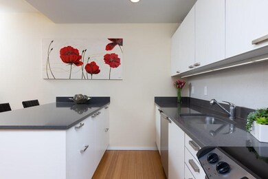 Sierra & Tango Condominiums unit T605, Cambridge, MA 02141 - photo 6