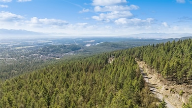 NHN Tract 2 Wolf Tail Pines Rd, Whitefish, MT 59937 - photo 7