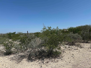 281 Sherman, Del Rio, TX 78840 - photo 4