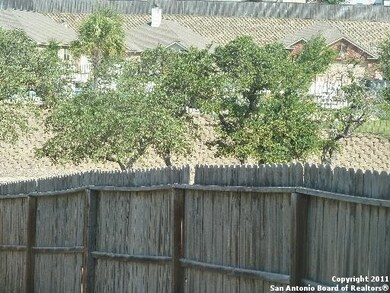 25019 Longbranch Run, San Antonio, TX 78261 - photo 7