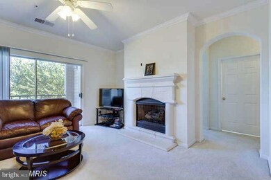 12917 Centre Park Cir unit 215, Herndon, VA 20171 - photo 7