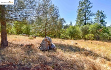 Par B Sawmill Flat Rd, Sonora, CA 95370 - photo 7